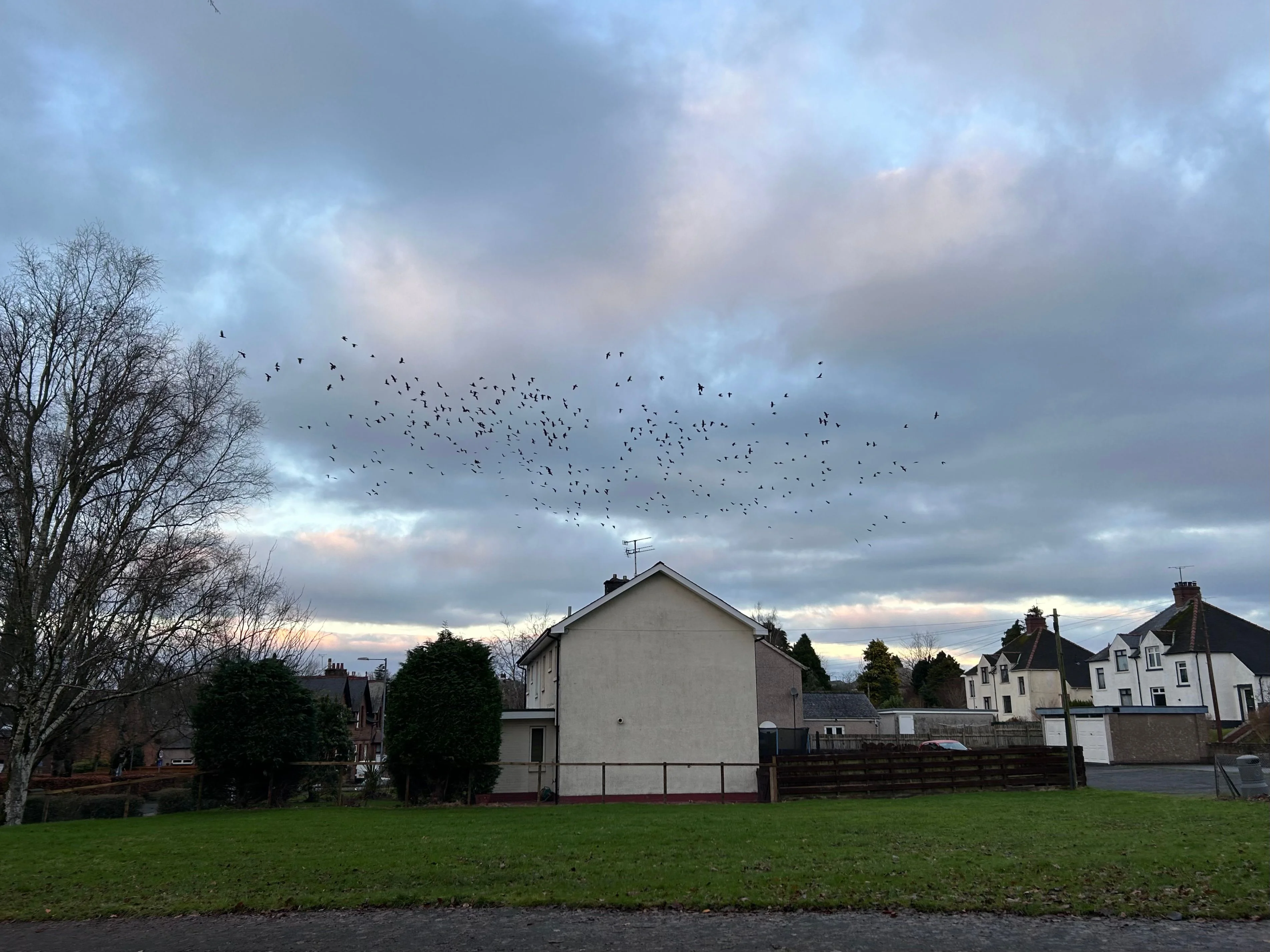 Winter in Dumfries
