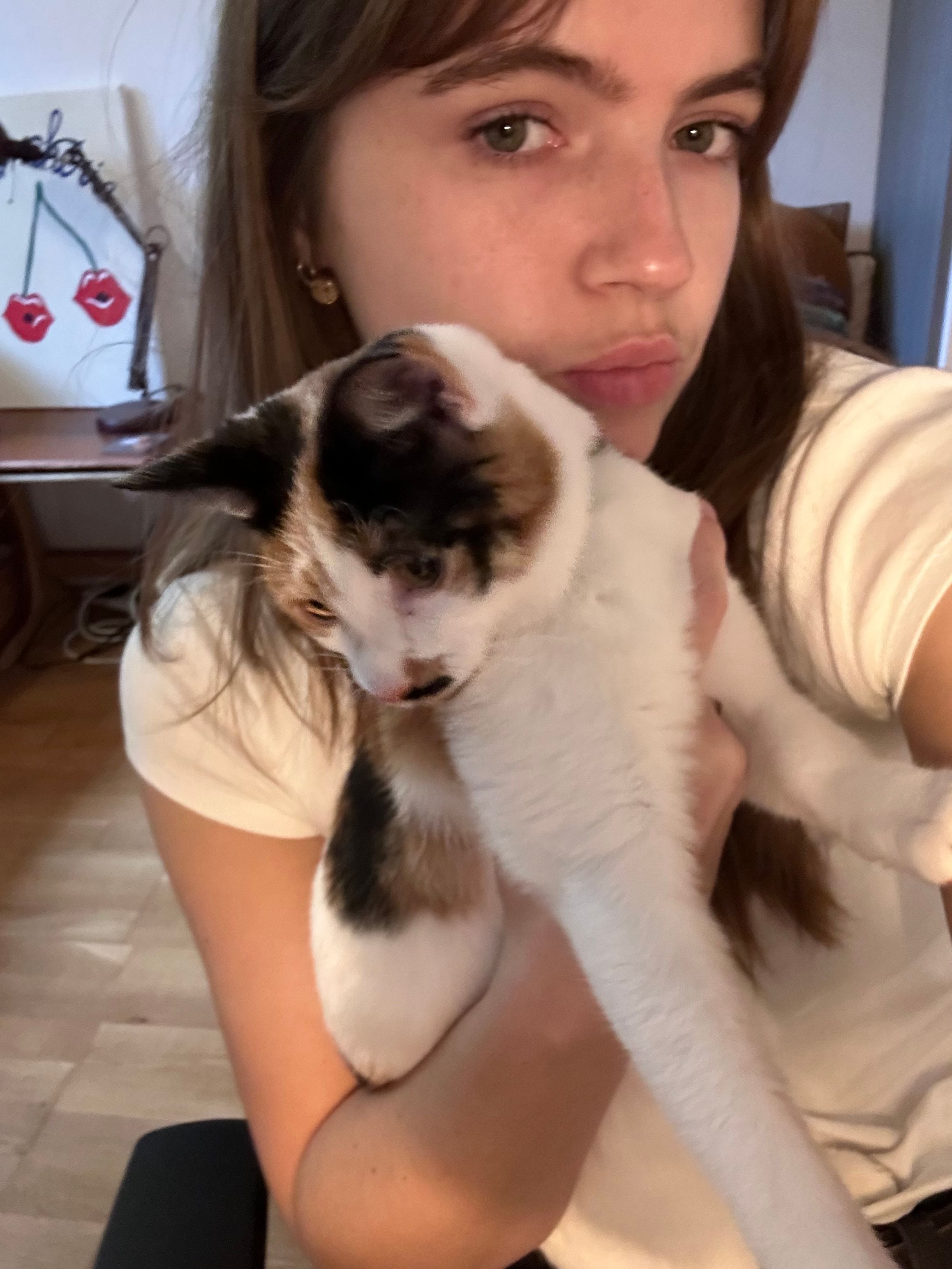 Being perfect disorder