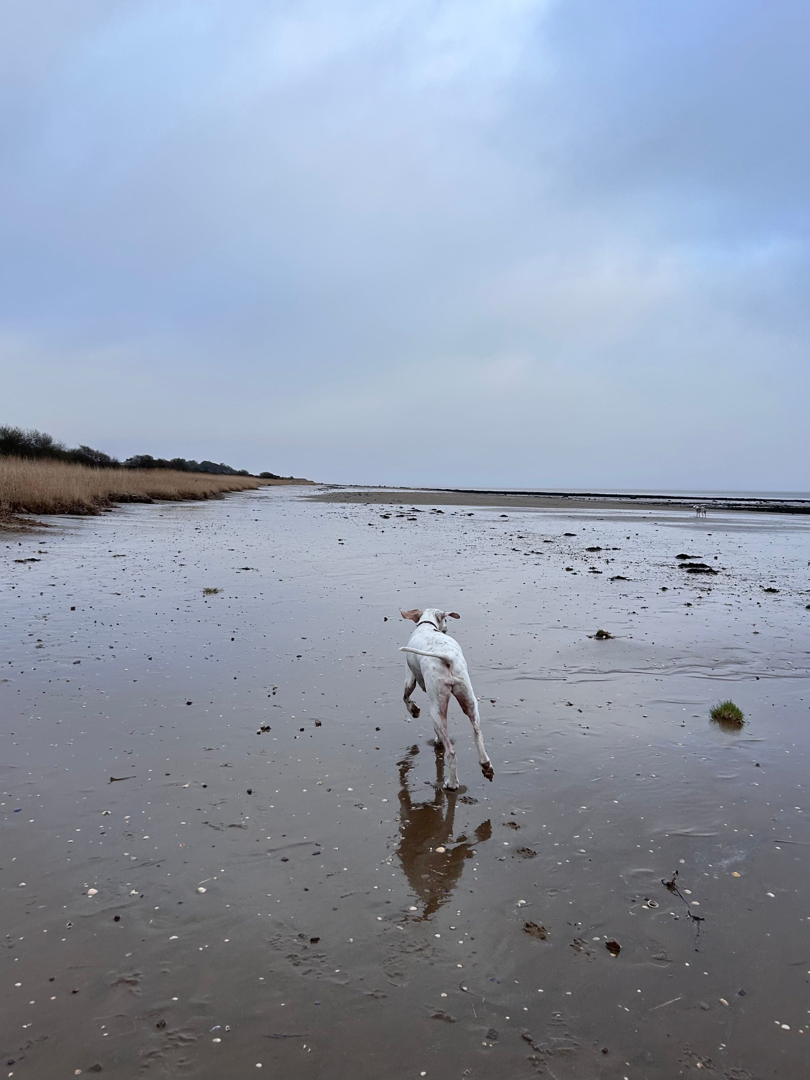 New year, new job, same mental illnesses