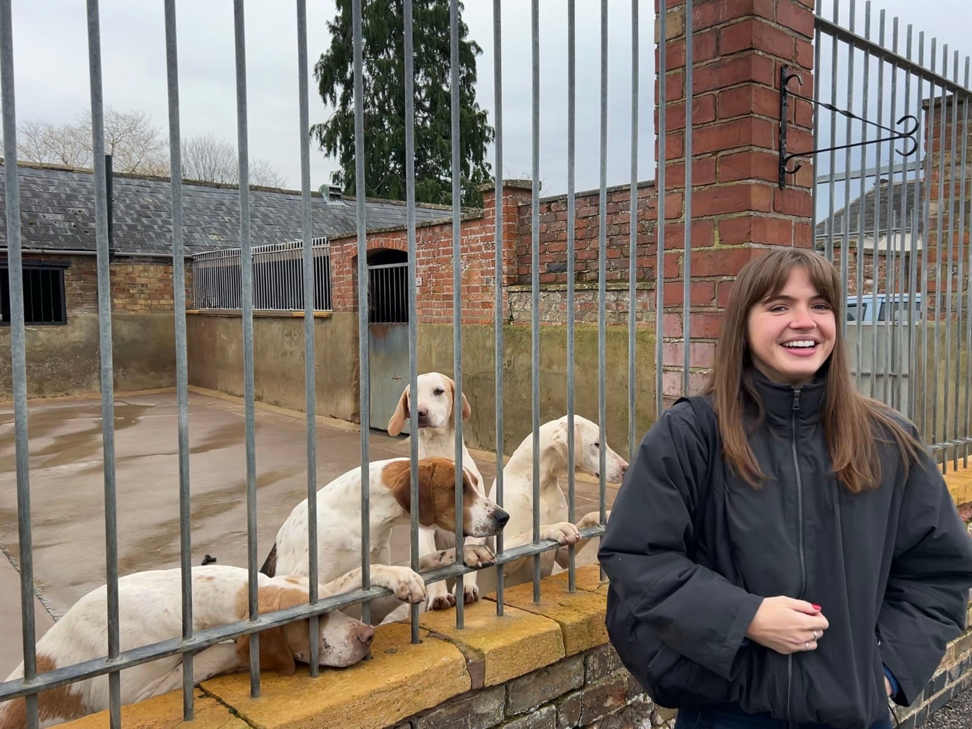 New year, new job, same mental illnesses